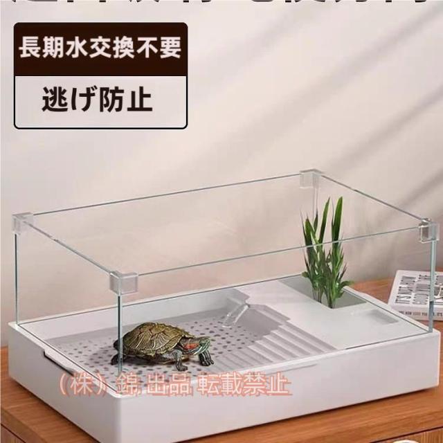 亀の水槽、両生飼育箱 オープンガラス水槽 タンカーポンプ、フィルターと濾過層設計により株式会社錦360度見ている亀水族館生息地です。