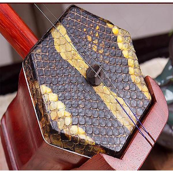 二胡 マホガニー 胡琴 Erhu バイオリンフィドル楽器 株式会社錦初心者二胡セット_1