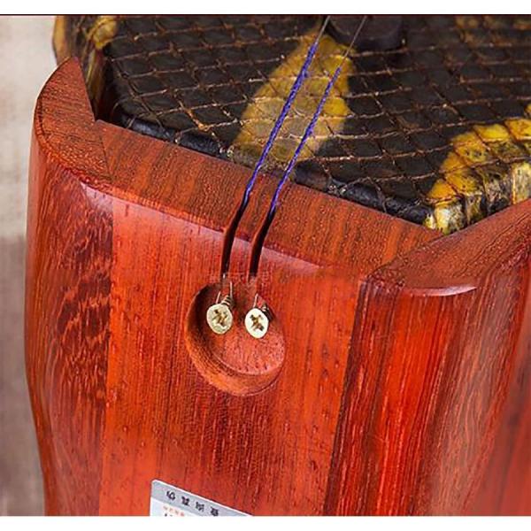 二胡 マホガニー 胡琴 Erhu バイオリンフィドル楽器 株式会社錦初心者二胡セット_3