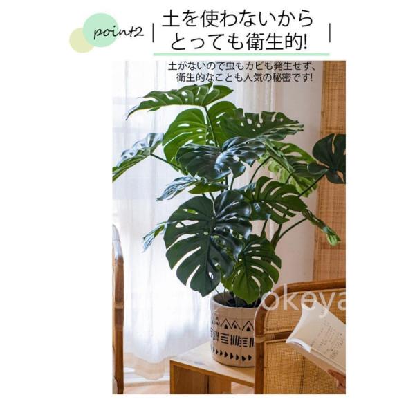 全巻セット *Flower garden* 110cm 花・ガーデン・DIY工具 モンステラ モンステラツリー グリーン