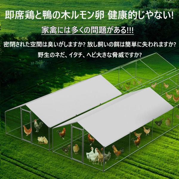 鶏小屋キット大型亜鉛メッキ鋼製鶏用ケージ鶏舎農場用耐候性