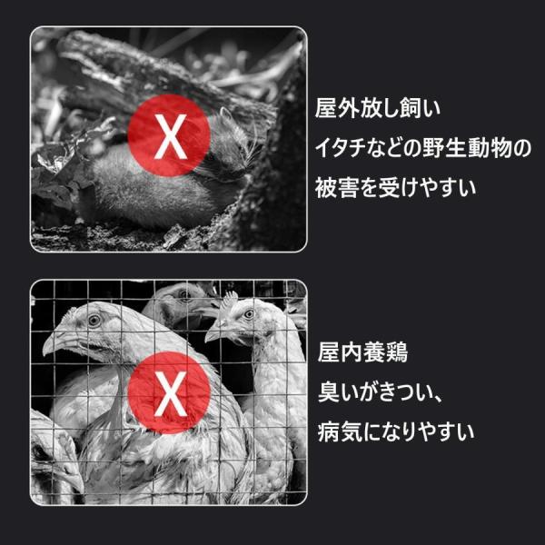 鶏小屋キット大型亜鉛メッキ鋼製鶏用ケージ鶏舎農場用耐候性