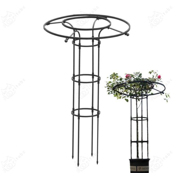 トレリス 園芸 オベリスク 薔薇 朝顔 庭 金属製 支柱 バラのオベリスク ぶどう ミニトマト 株式会社錦棚 バラ ガーデニング アサガオ 屋外 ガーデニング用_12