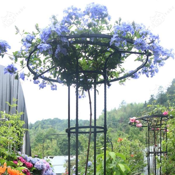 トレリス 園芸 オベリスク 薔薇 朝顔 庭 金属製 支柱 バラのオベリスク ぶどう ミニトマト 株式会社錦棚 バラ ガーデニング アサガオ 屋外 ガーデニング用_16
