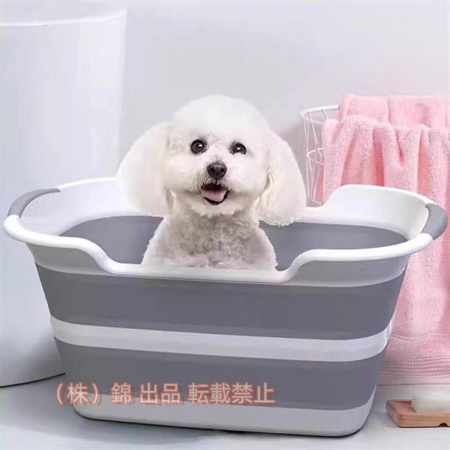 ペットバス 犬のお風呂 犬用バスタブ ペット用バスタブ 折りたたみ式 猫のお風呂 ソフトタブ 洗い桶 ソフトバスタブ バスケット 犬 お風呂 ペットバス ペットのお風呂 ペット用バスタブ ペット 犬バスタブ 折りたたみ式 バスタブ ペットお風呂 ホワイト 33L ソフトタブ  コンパクト収納 やわらか素材 洗い桶 大容量 洗濯 ベビーバス ペット用バス タブ 猫犬お風呂用 コンパクト 安全素材 KM666G |  BESTWEAR