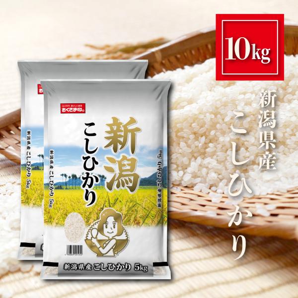 新潟県産 こしひかり お米 10kg（5kg×2） 精米 白米 おくさま印 食品 国産 10キロ
