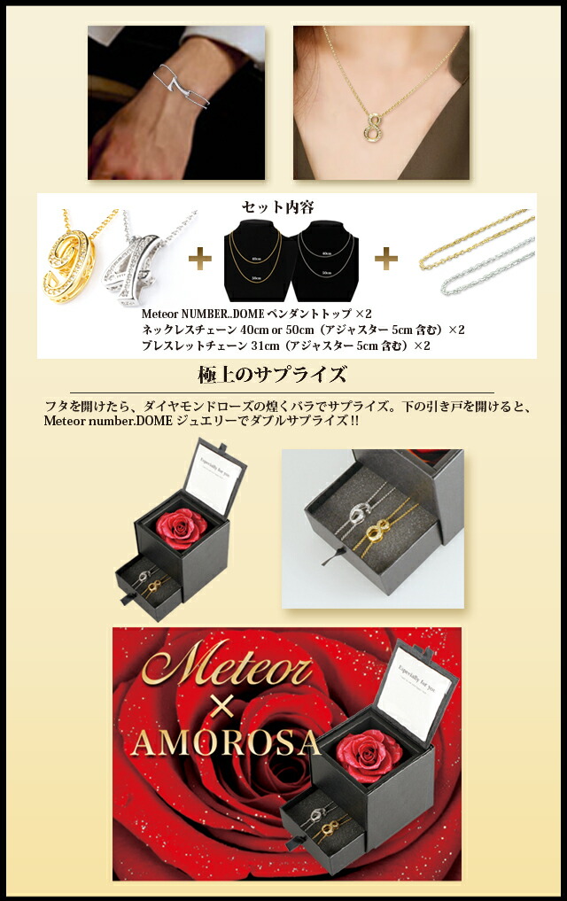 NUMBER.DOME meteor メテオラ ペアネックレス 福袋 2022 ダイヤモンドローズ ブリザーブド フラワー ギフト ナンバー ネックレス ブレスレット アンクレット ギフト BOX プレゼント 女性 男性 クリスマス 誕生日 プレゼント_1