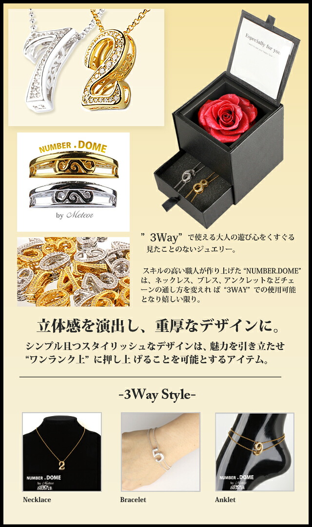 NUMBER.DOME meteor メテオラ ペアネックレス 福袋 2022 ダイヤモンドローズ ブリザーブド フラワー ギフト ナンバー ネックレス ブレスレット アンクレット ギフト BOX プレゼント 女性 男性 クリスマス 誕生日 プレゼント_2