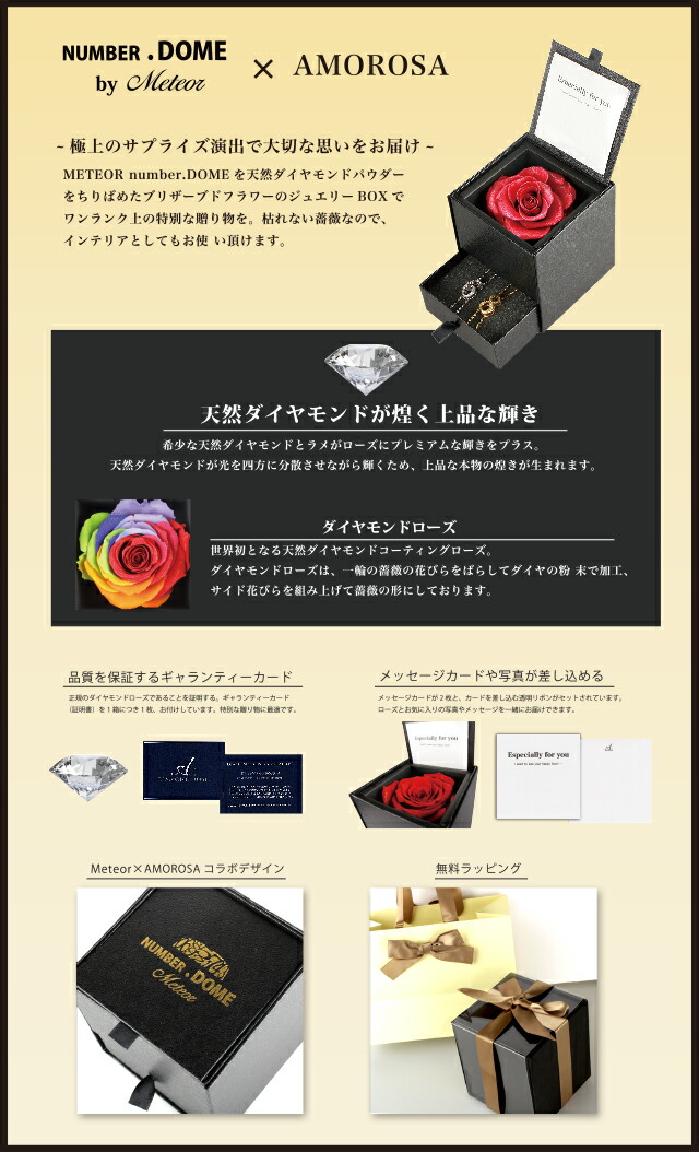 NUMBER.DOME meteor メテオラ ペアネックレス 福袋 2022 ダイヤモンドローズ ブリザーブド フラワー ギフト ナンバー ネックレス ブレスレット アンクレット ギフト BOX プレゼント 女性 男性 クリスマス 誕生日 プレゼント_5