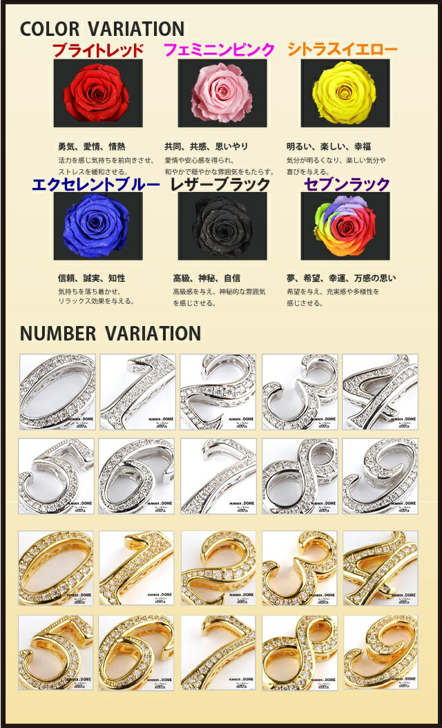 NUMBER.DOME meteor メテオラ ペアネックレス 福袋 2022 ダイヤモンドローズ ブリザーブド フラワー ギフト ナンバー ネックレス ブレスレット アンクレット ギフト BOX プレゼント 女性 男性 クリスマス 誕生日 プレゼント_4