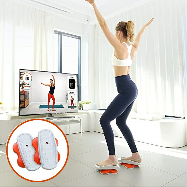 フルーティー マンゴー 2本セット HERBALIFE