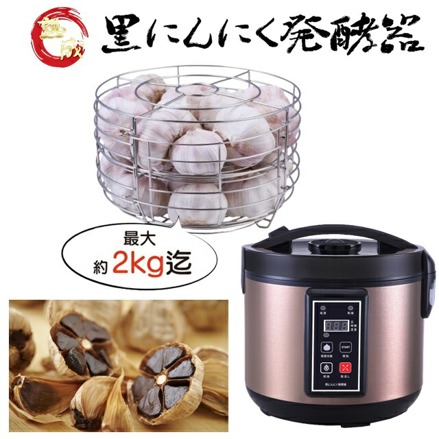 ライフウェーブパッチ ange♡様専用出品 【公式通販】