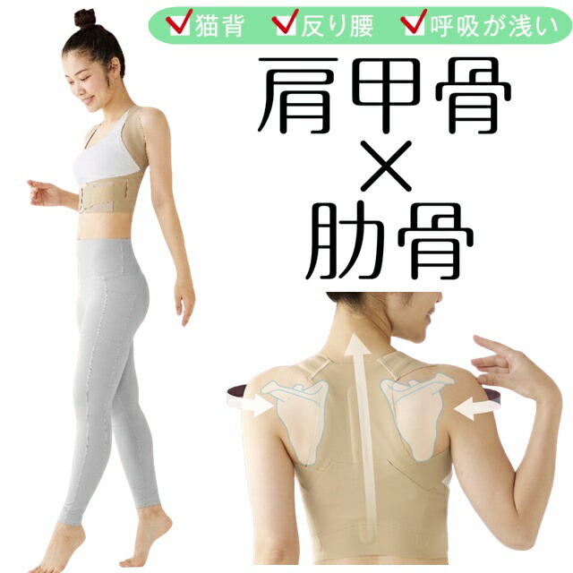 ドクターデヴィアス ☆ 痩身秘茶 石蓮花& マッサージオイル セット 痩身秘茶®AX（ゼリータイプ）｜ドクターデヴィアス化粧品
