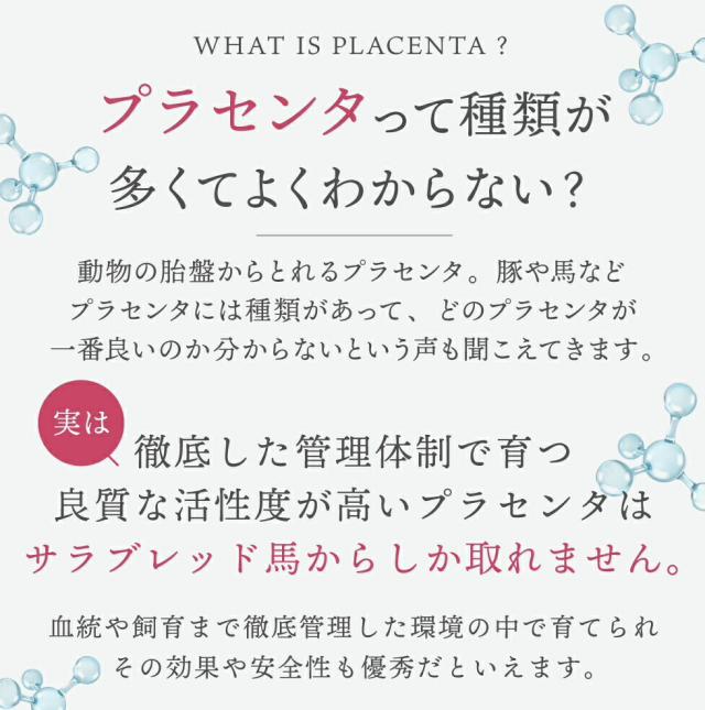 4袋 高級馬プラセンタ100％ サプリメント 国産 北海道産サラブレッド 馬プラセンタ プラセンタ 女性ホルモン サプリメント 更年 ホットフラッシュ プラセンタファイン 美容サプリ 美容サプリメント サプリ 美容 エイジングケア 馬 エイジング ビューティー ス15粒 15日分_4
