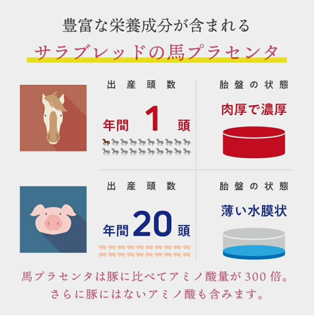 4袋 高級馬プラセンタ100％ サプリメント 国産 北海道産サラブレッド 馬プラセンタ プラセンタ 女性ホルモン サプリメント 更年 ホットフラッシュ プラセンタファイン 美容サプリ 美容サプリメント サプリ 美容 エイジングケア 馬 エイジング ビューティー ス15粒 15日分_5