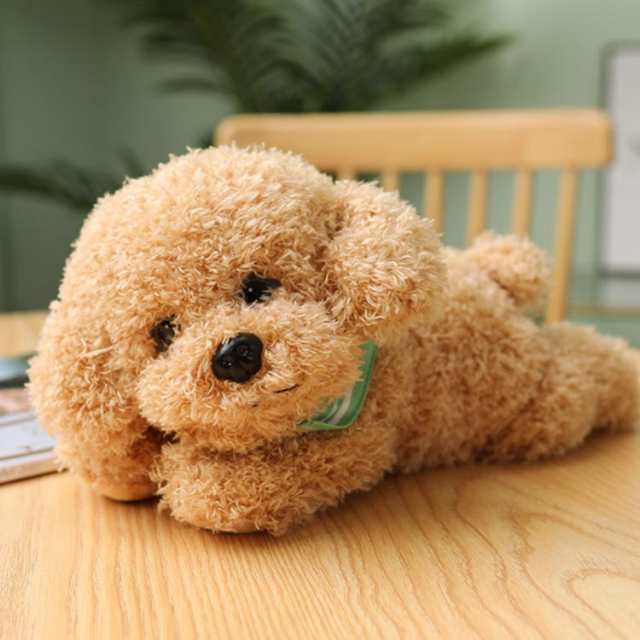 犬 ぬいぐるみ トイプードル テディ ドッグ ぬいぐるみ リアル 本物