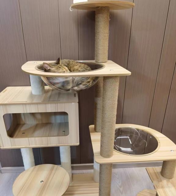 キャットタワー 透明宇宙船 頑丈 据え置き木製 麻紐 爪とぎボール 猫