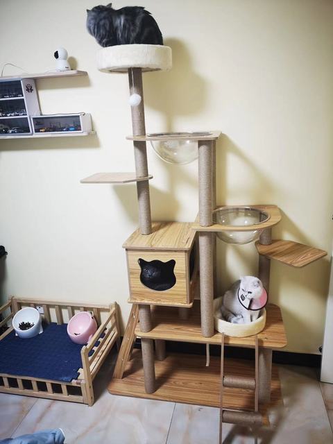 キャットタワー 透明宇宙船 頑丈 据え置き木製 麻紐 爪とぎボール 猫