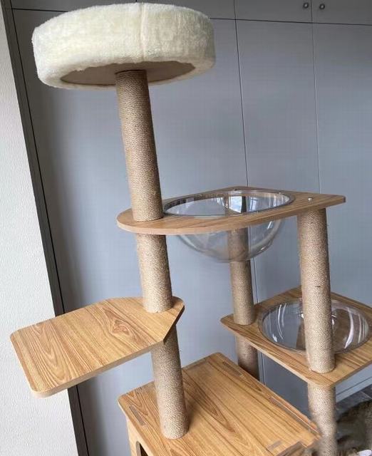 キャットタワー 透明宇宙船 頑丈 据え置き木製 麻紐 爪とぎボール 猫