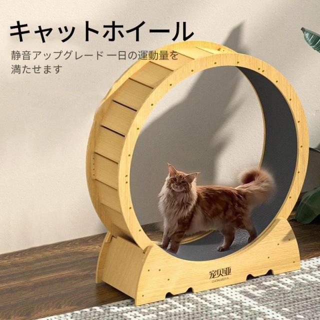 キャット ホイール 猫 M ランニングホイール キャットウォーク 