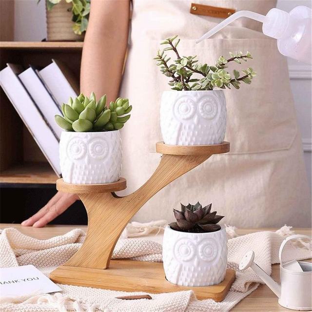 植物棚 ポットも３個セット木製の飾り棚 シェルフ インテリア 多肉植物 収納 ディスプレイ 観葉植物