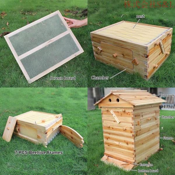 蜜蜂巣箱ミツバチ巣箱養蜂箱巣箱蜂箱フローハイブ養蜂セット蜜蜂飼育箱