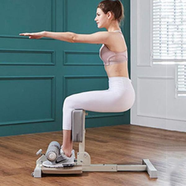 スクワットマシンシシースクワット腹筋スクワットマシンローマンチェア