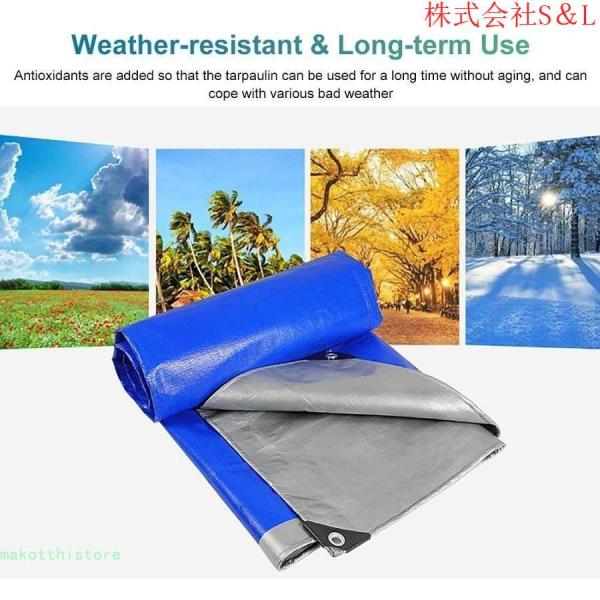頑丈なタープを厚く、強化アイレット付きPEプラスチク防水ターポリンS＆L 屋外パティオパーゴラの犬小屋の天蓋用ブルーシルバーシート (Size : 3m x 20m) 頑丈なタープを厚く、強化アイレット付きPEプラスチク防水ターポリン