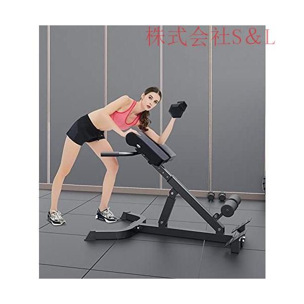 Life Fitness バックエクステンションベンチ 3776 Life Fitness ライフ