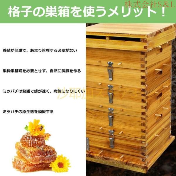 巣箱 養蜂箱養蜂器具蜂蜜蜂の巣箱 ミツバチ セット蜜蜂巣箱7/ 10