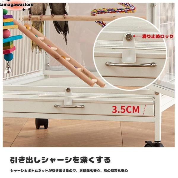 クリアアクリル鳥かご 複数飼い大型インコ ケージ株式会社S＆L