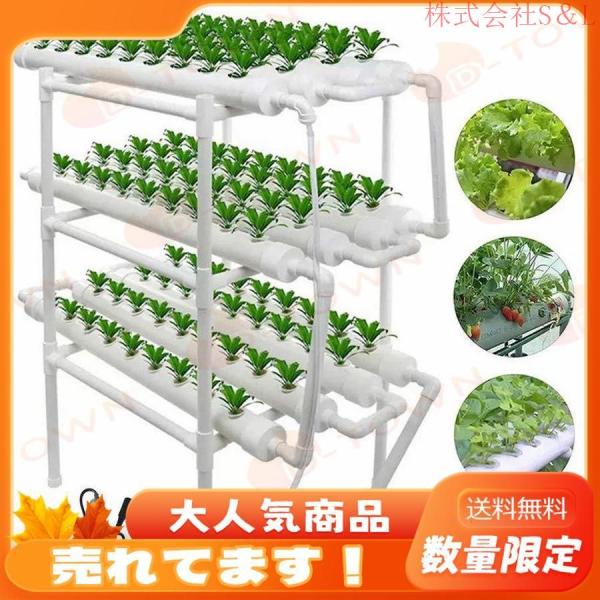 水耕栽培キット 野菜 栽培キット すいこう栽培キット 室内 いちご 家庭菜園 株式会社S＆L水耕栽培セット プランター 108穴