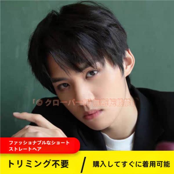 人毛100％ メンズウィッグ フルウィッグ 男性用ウイッグ ウィッグネット付き 耐熱ウィッグ 自然 クローバー株式会社 ウイッグ エクステンション かつら イメチェン
