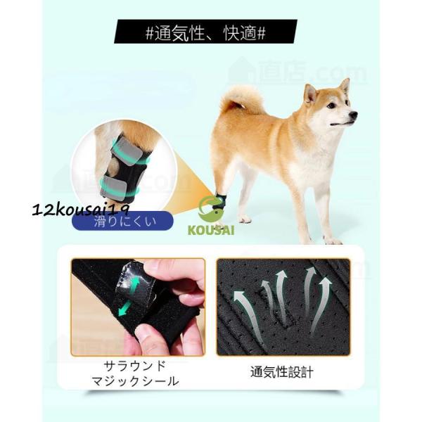 犬用膝サポーター 犬 サポーター 前足専用 後ろ足専用 1枚入 足根関節