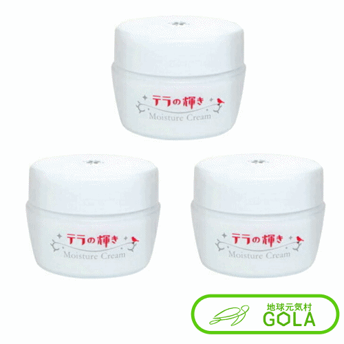テラの輝き モイスチャークリーム 100g 3個入 オールインワンクリーム 美容液 化粧水 コスメ