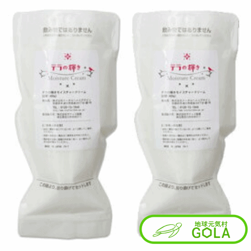 テラの輝き モイスチャークリーム詰替パウチ 400g 2個入 オールインワンクリーム 美容液 化粧水 コスメ