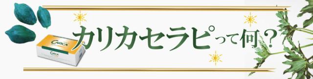 カリカセラピ(3g*100包) カリカセラピ（100包） | カラケア