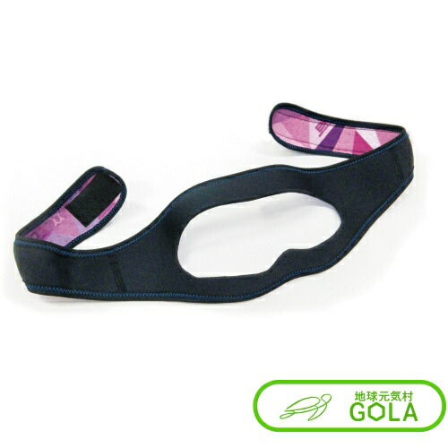 12個セット】ポイズ ライト 80cc 安心の中量用 23cm 39枚入)