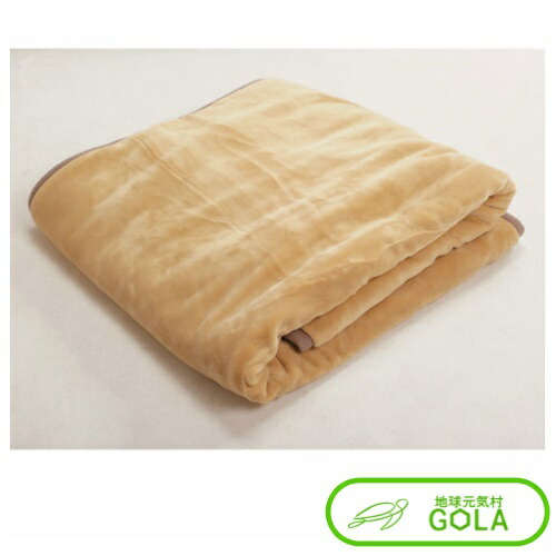 ヒートレイ プレミアム掛け毛布 毛布 快眠 抗菌 消臭