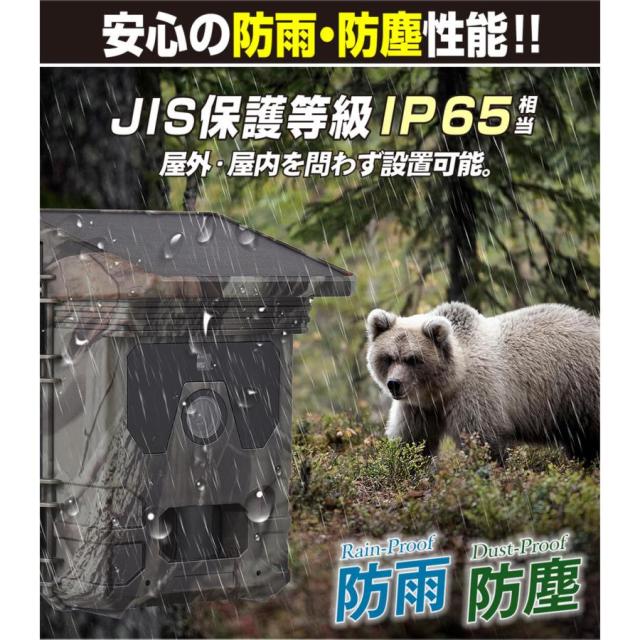 防犯カメラ トレイルカメラ 4K 5000万画素 ソーラー 高画質 室内 屋外_6