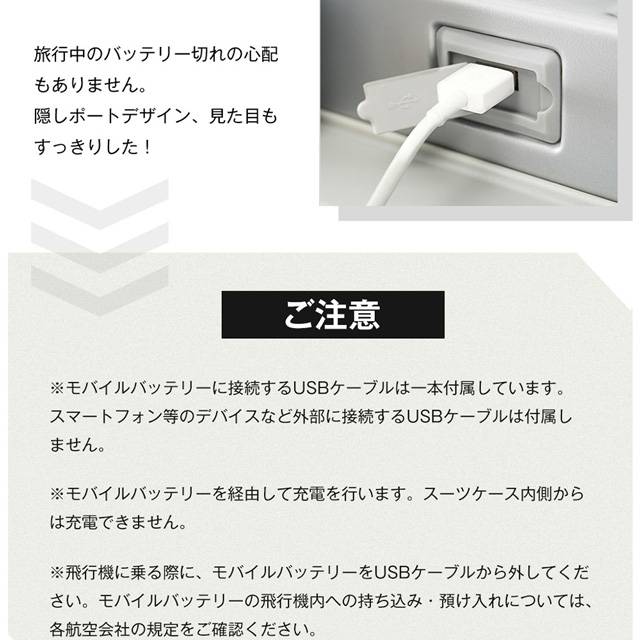 クーポン対象 年末セール Lサイズ アルミ スーツケース キャリーバッグ