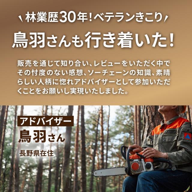 FUJIMI チェーンソー 替刃 2本 21BPX-68E ソーチェーン ハスク H25-68E スチール 25RM-68