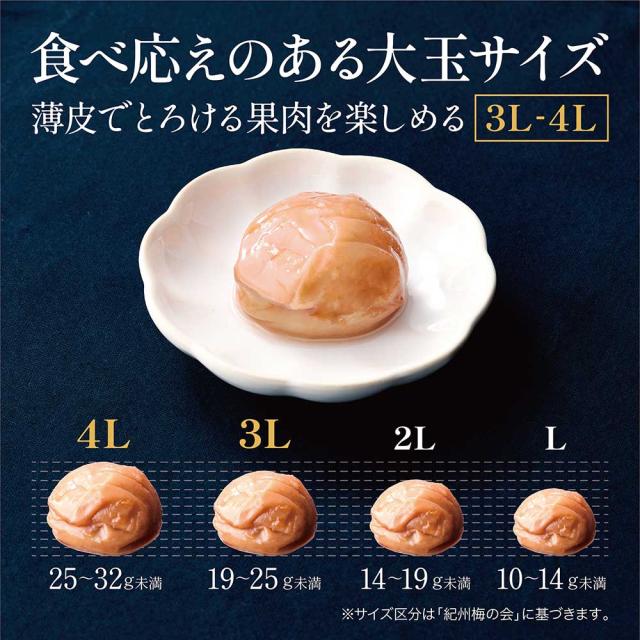 食品 紀州南高梅干 完熟つぶれ梅干 白干し 無添加 無選別 Lサイズ 10kg入り