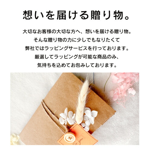 【GIFT】スパトリートメント ビューティ ラッシュ 4.5ml (Spa Treatment eX Skin Taut Cream まつ毛美容液 眉毛美容液 まつ毛 眉毛 ボリューム ロング おすすめ ハリツヤ 業務用 エステ aesthetic)ans11