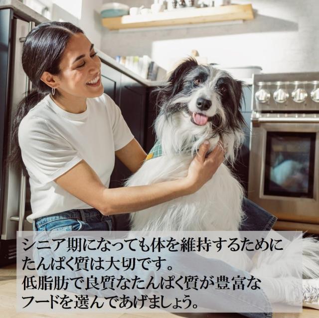 ウェルネスコア 高齢犬用 ターキー 骨抜き七面鳥 5.4kgx2個 7歳以上 シニア ドッグフード 犬 餌 グレインフリー 穀物不使用 高たんぱく質 WELLNESS_2