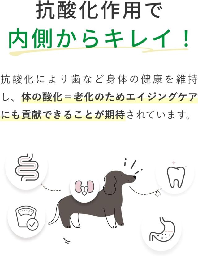COZY MILK コージーミルク カラダシルクin 200gx15本 犬 サプリ 飲料 腎臓ケア 腸内ケア 甘酒 栄養補給 水分補給 発酵飲料 免疫力 ブ エイジングケア SILKFULL シルクフル カラダシルクイン_6