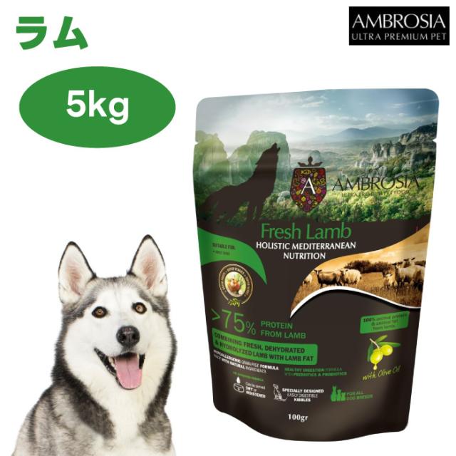 アンブロシア HMN ラム 5kg ドッグフード 犬 餌 AMBROSIA 地中海