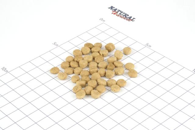 ナチュラルハーベスト おなかにやさしいフード 700gx8個タチウオ フェカリス菌 ビフィズス菌 腸活 菌活 胃腸ケア ドッグフード 犬 餌 Natural Harvest_2