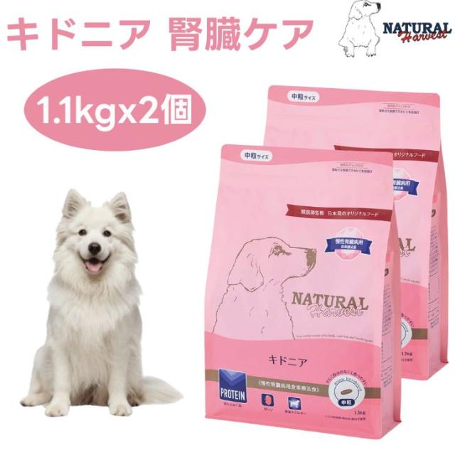 ナチュラルハーベスト キドニア 腎臓ケア 1.1kgx2個  低タンパク質 低リン 低ナトリウム 腎臓療法食 ドックフード 犬 餌 Natural Harvest