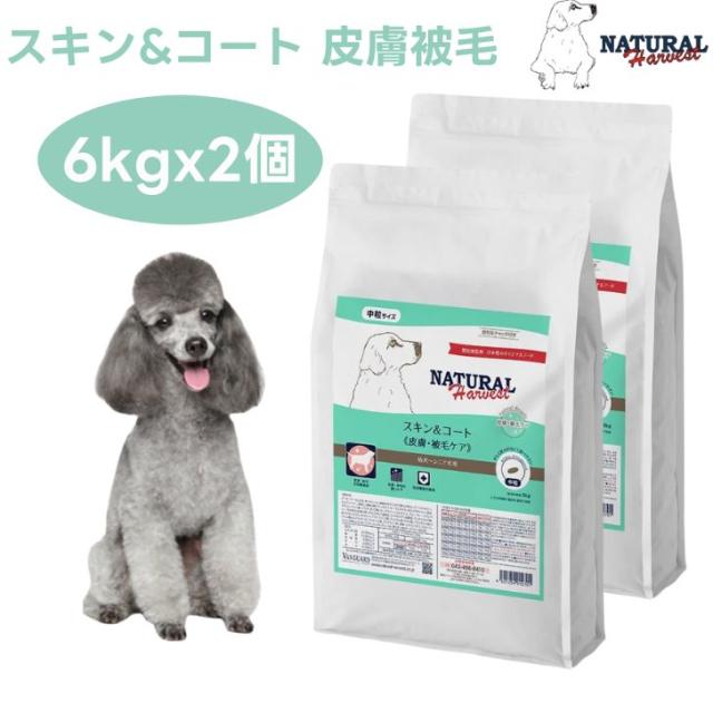 ナチュラルハーベスト スキン＆コート 皮膚 被毛ケア6kgx2個 スキン 毛艶 ドックフード 犬 餌 Natural Harvest